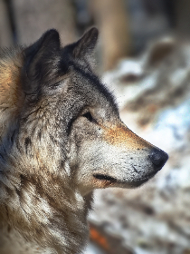 性感的小姨子 性感的小姨子