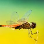 性巴克 漫画 9zssy4t8