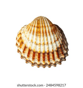 午夜影院免费的