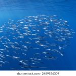 性感美女视频在线观看 x0ybybv