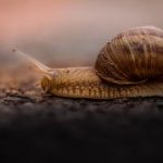 韩国写真网站 h3ib7